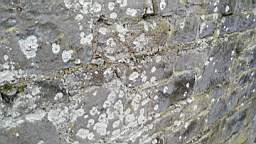 acastle 105835.jpg